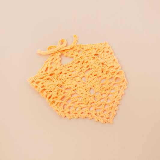 Monarch Butterfly Ecology-Inspired Crochet Bandana
